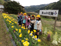 IMGP1591
