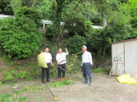 IMG_3133[1]