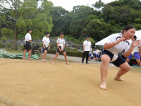 IMGP2692