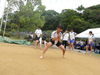 IMGP2693