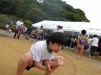 IMGP2694