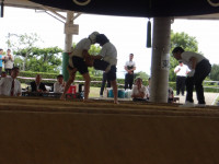 IMGP2716