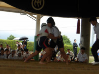 IMGP2731