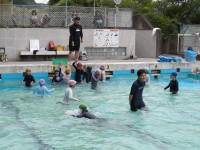 IMGP0928