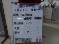 IMGP2233