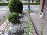 IMGP0976