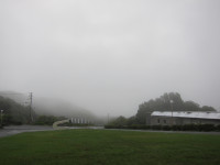 IMG_3332[1]