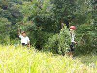 IMGP2443