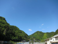 IMG_2345[1]