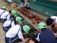 DSCF0264