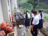 DSCF1317