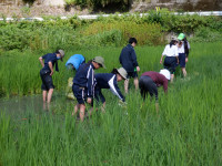 DSCF1344