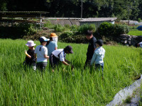 DSCF1350