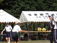 IMGP0372