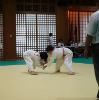 DSC00553編集