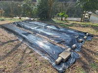 2年1組_せいかつ_黒河　新_2026年2月13日のノート_21