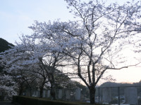 P1016578