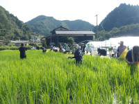 IMGP2358