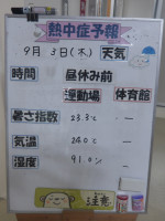 IMGP1850