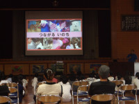 IMGP2852