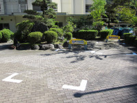 IMG_3473[1]