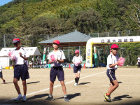 IMGP1545